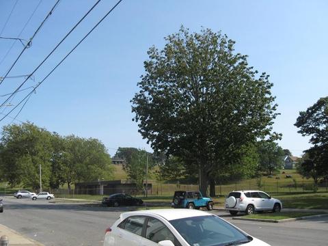 32 Bradford Ave, Fall River, MA 02721 photo 36