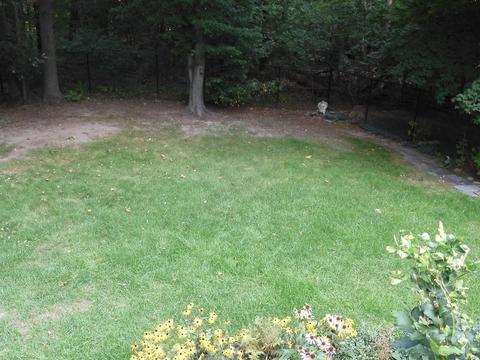 599 Forest St, Methuen, MA 01844 photo 22