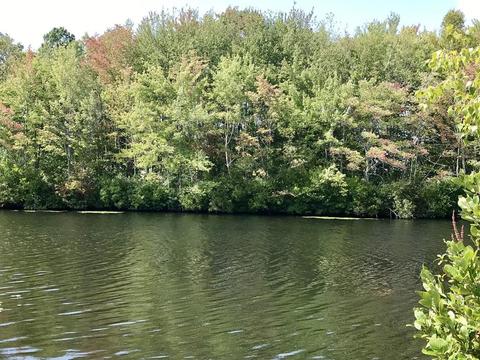 154 Lower Gore Rd, Webster, MA 01570 photo 36
