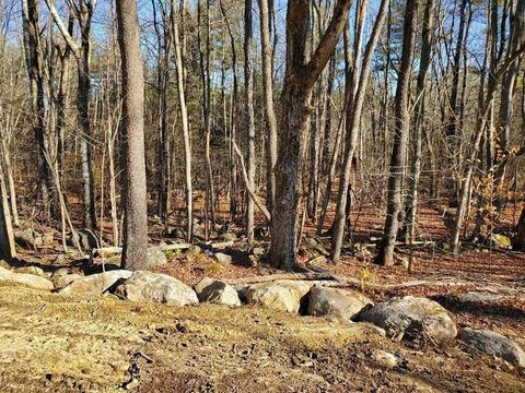 15 Murray Rd, Ashburnham, MA 01430 photo 13