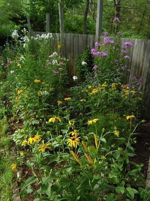126 Farm St, Millis, MA 02054 photo 17