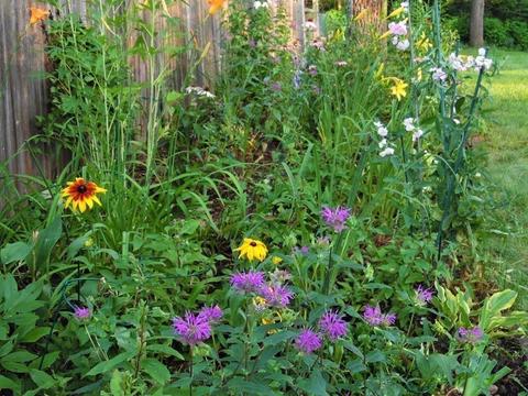 126 Farm St, Millis, MA 02054 photo 16