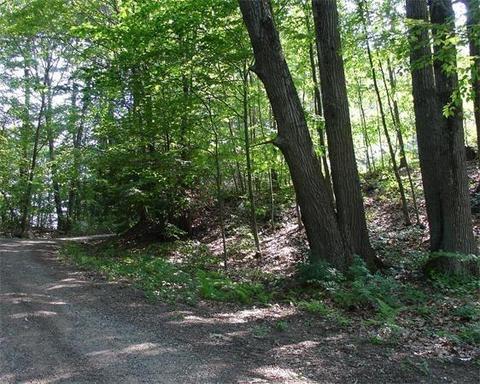 206 Spring St, Northampton, MA 01062 photo 2
