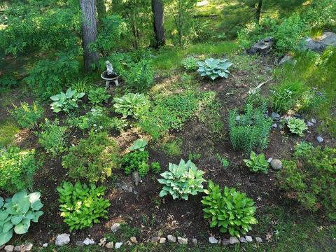 8 Deer Path #3, Maynard, MA 01754 photo 37