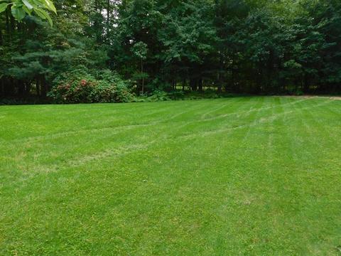 795 Pine St, Raynham, MA 02767 photo 29