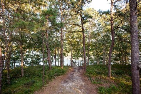 26 Quaker Run, Mashpee, MA 02649 photo 5