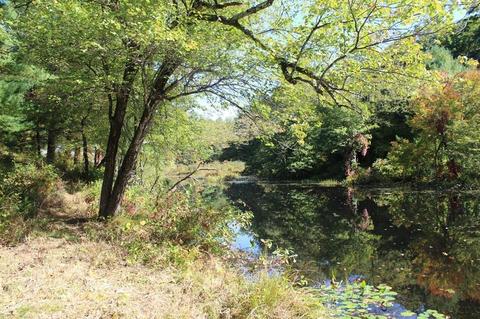 257 Greenwich Rd, Ware, MA 01082 photo 15