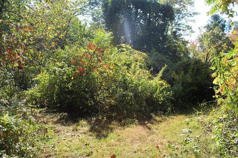 257 Greenwich Rd, Ware, MA 01082 photo 10