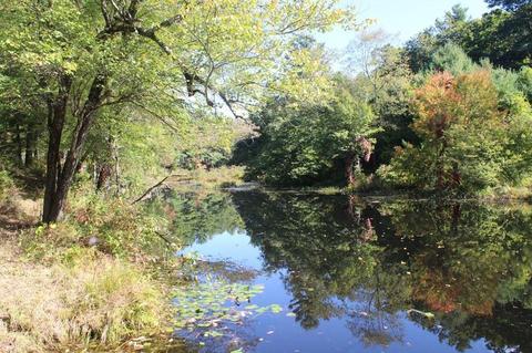 257 Greenwich Rd, Ware, MA 01082 photo 14