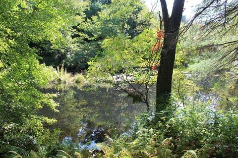 257 Greenwich Rd, Ware, MA 01082 photo 17