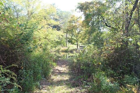 257 Greenwich Rd, Ware, MA 01082 photo 13