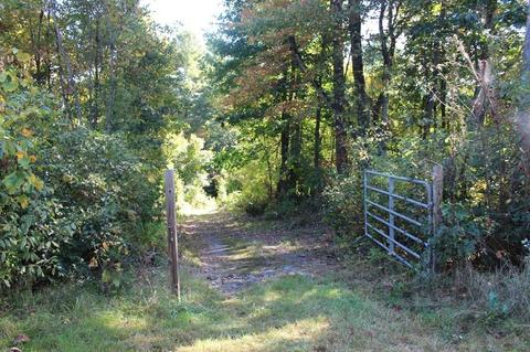 257 Greenwich Rd, Ware, MA 01082 photo 9