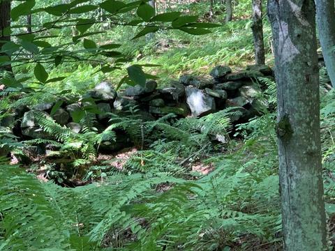 63 State Rd, Erving, MA 01344 photo 35