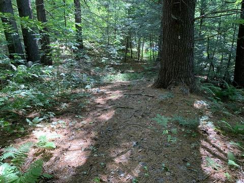 63 State Rd, Erving, MA 01344 photo 37