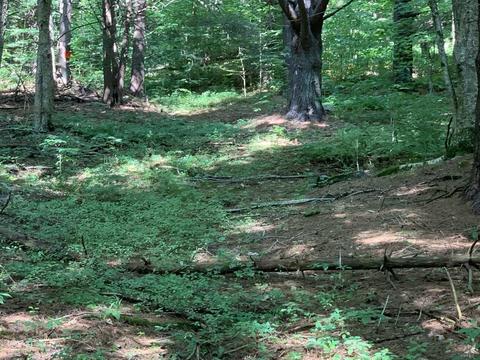 63 State Rd, Erving, MA 01344 photo 36