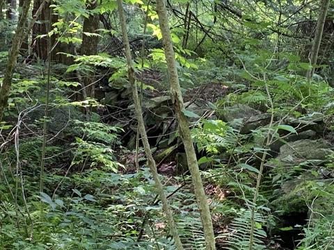 63 State Rd, Erving, MA 01344 photo 34