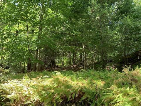 63 State Rd, Erving, MA 01344 photo 31