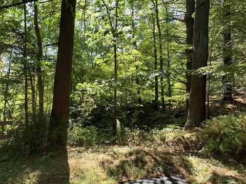 63 State Rd, Erving, MA 01344 photo 32