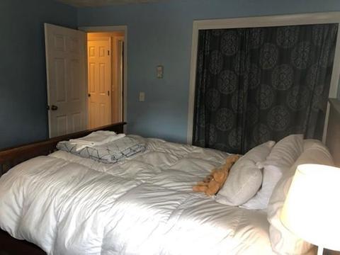 19 Hapgood Rd, Worcester, MA 01605 photo 13