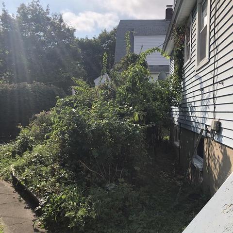 63 Barnard Rd, Worcester, MA 01605 photo 17