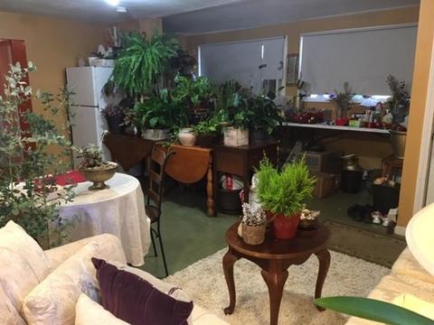 243 Appleton St, Lowell, MA 01852 photo 16