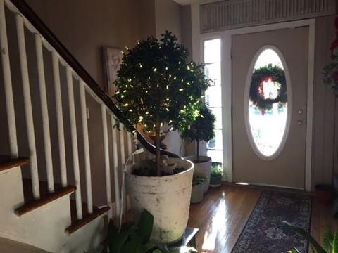243 Appleton St, Lowell, MA 01852 photo 9