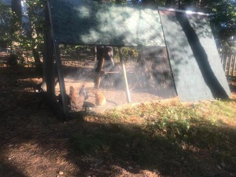 15 George Rd, Maynard, MA 01754 photo 21