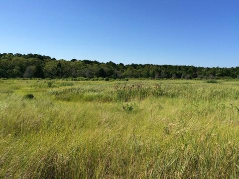21 Lowell Rd, Cotuit, MA 02635 photo 34