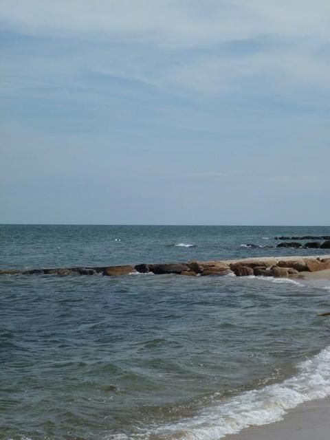 21 Lowell Rd, Cotuit, MA 02635 photo 33