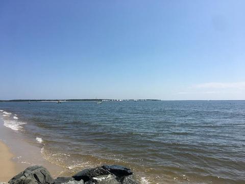 21 Lowell Rd, Cotuit, MA 02635 photo 31