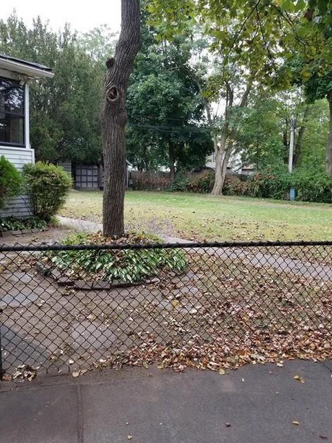 31 Pasadena St, Springfield, MA 01108 photo 2