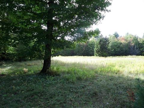 203 Summit St, Plainfield, MA 01070 photo 9