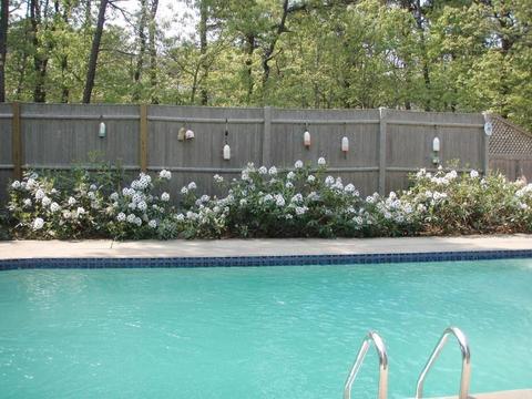 65 Squirrel Run, Eastham, MA 02642 photo 20