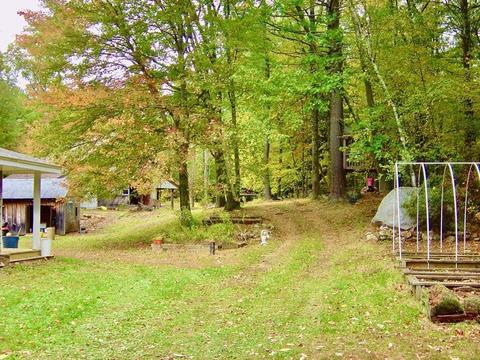 799 Conant Rd, Athol, MA 01331 photo 35