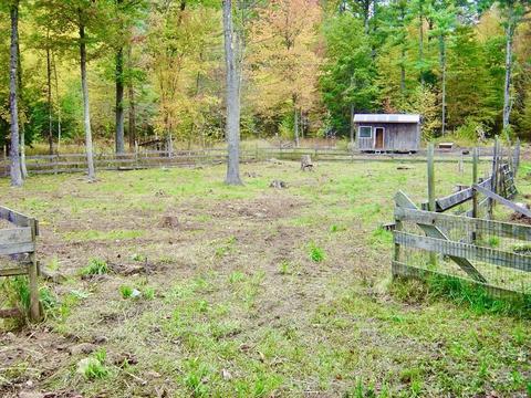 799 Conant Rd, Athol, MA 01331 photo 33
