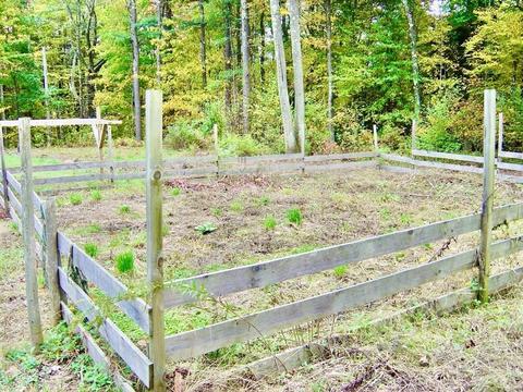 799 Conant Rd, Athol, MA 01331 photo 39