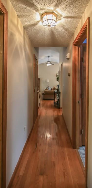 411 Thayer Rd, Hardwick, MA 01082 photo 16