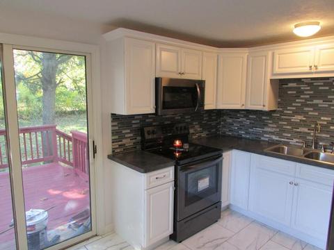 38 Walsh St, Springfield, MA 01109 photo 5