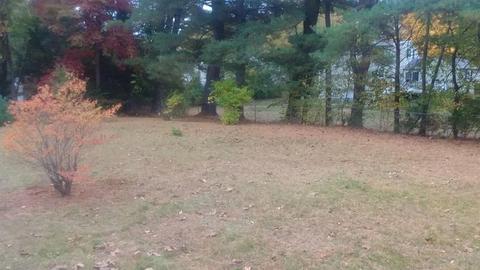 486 Maple Rd, Longmeadow, MA 01106 photo 7