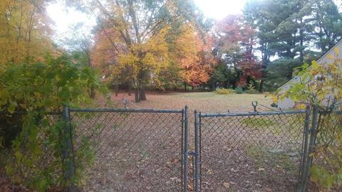 486 Maple Rd, Longmeadow, MA 01106 photo 8