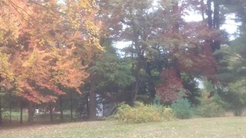 486 Maple Rd, Longmeadow, MA 01106 photo 5