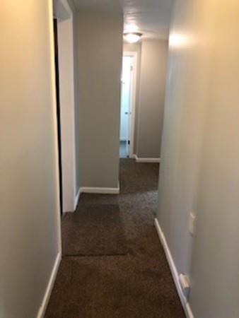 155 Marsden St, Springfield, MA 01109 photo 29