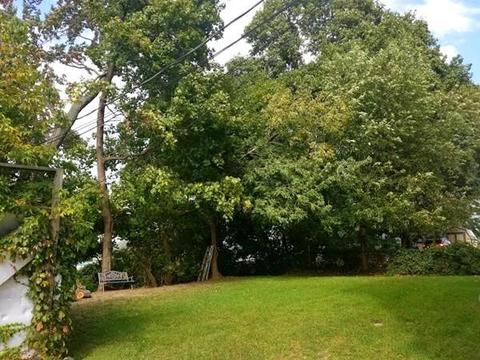 982 Main St, Worcester, MA 01603 photo 4