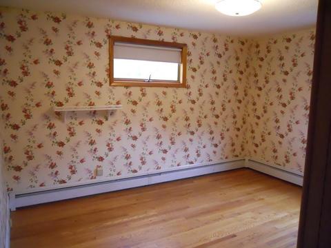 46 Harkness Ave, Springfield, MA 01118 photo 14