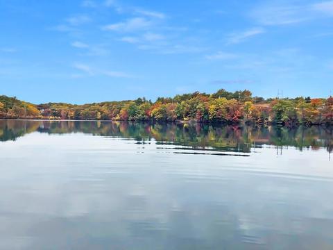 127 Pine St, Clinton, MA 01510 photo 3