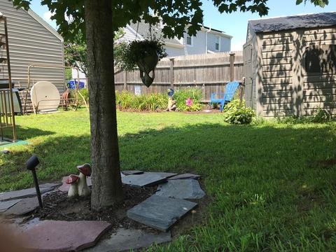357 Roosevelt Ave, Springfield, MA 01118 photo 29