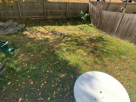 11 Blithewood Ter, Worcester, MA 01604 photo 31