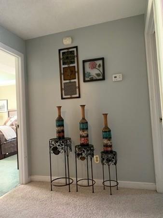 11 Blithewood Ter, Worcester, MA 01604 photo 17