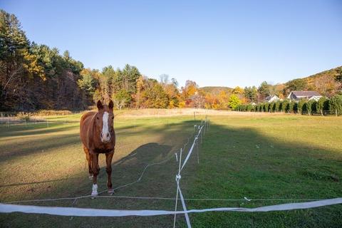 427 Main Rd, Colrain, MA 01340 photo 22