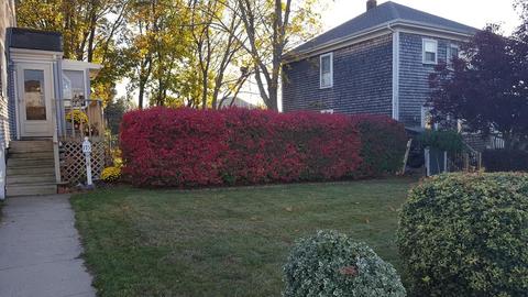 175 Field St, Fall River, MA 02721 photo 3